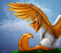 Size: 2500x2160 | Tagged: safe, artist:tenebrisnoctus, derpibooru import, oc, oc only, pegasus, pony, solo