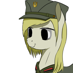 Size: 1280x1280 | Tagged: safe, artist:dr-fade, derpibooru import, oc, oc only, clothes, hat, military uniform, simple background, solo, transparent background, ukraine, uniform