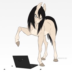 Size: 800x800 | Tagged: safe, artist:dementra369, derpibooru import, oc, oc only, oc:kira baer, earth pony, pony, angry, animated at source, computer, horse problems, laptop computer, simple background, solo, white background