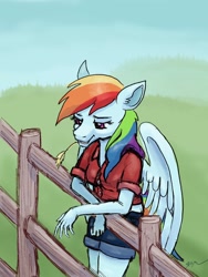 Size: 1536x2048 | Tagged: safe, artist:catscratchpaper, derpibooru import, rainbow dash, anthro, pegasus, clothes, female, fence, shorts, solo, straw in mouth