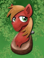 Size: 1536x2048 | Tagged: safe, artist:catscratchpaper, derpibooru import, big macintosh, earth pony, bust, male, smiling, solo