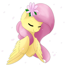 Size: 1334x1450 | Tagged: safe, artist:maravor, derpibooru import, fluttershy, pegasus, pony, chest fluff, cute, eyes closed, female, flower, flower in hair, folded wings, mare, petals, shyabetes, simple background, smiling, solo, transparent background, wings