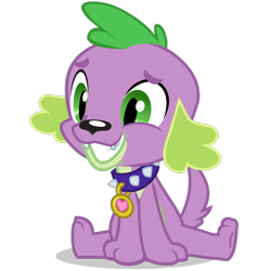 Size: 1400x1399 | Tagged: dead source, safe, derpibooru import, spike, dog, equestria girls, adorable face, collar, cute, fangs, grin, happy, male, nervous, nervous grin, official, pet tag, simple background, sitting, smiling, solo, spikabetes, spike the dog, tail, transparent background, vector