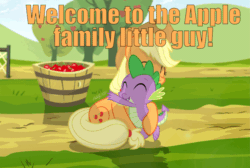 Size: 960x646 | Tagged: safe, artist:shutterflyeqd, edit, editor:undeadponysoldier, applejack, spike, dragon, earth pony, pony, apple, apple family, apple tree, best friends, best friends until the end of time, bucket, daaaaaaaaaaaw, family, female, hug, mare, sitting, spikelove, sweet apple acres, text, tree, wholesome