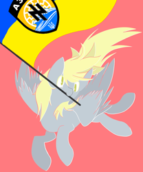 Size: 500x600 | Tagged: safe, artist:clair, edit, derpy hooves, pegasus, azov battalion, flag, sonnenrad, this will end in pain and/or death, ukraine, wolfsangel