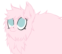 Size: 686x595 | Tagged: safe, artist:alandisc, derpibooru import, oc, oc only, oc:fluffle puff, earth pony, pony, chest fluff, ear fluff, ears, female, fluffy, looking up, no pupils, simple background, solo, white background