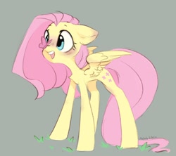 Size: 1008x895 | Tagged: safe, artist:melodylibris, derpibooru import, fluttershy, butterfly, pegasus, pony, blushing, butterfly on nose, cute, female, gray background, insect on nose, mare, open mouth, open smile, shyabetes, simple background, smiling, solo, spread wings, wings