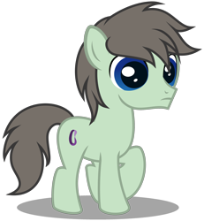 Size: 2748x2979 | Tagged: safe, artist:strategypony, derpibooru import, oc, oc only, oc:paradox, earth pony, pony, colt, foal, male, simple background, solo, transparent background, younger