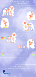 Size: 1024x2161 | Tagged: safe, artist:maneblue, derpibooru import, oc, oc only, pegasus, pony, ear fluff, ears, eyelashes, multicolored hair, pegasus oc, rainbow hair, reference sheet, wings