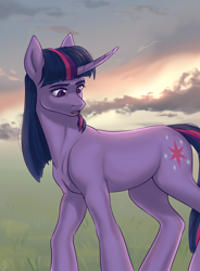 Size: 1058x1438 | Tagged: safe, artist:tigra0118, derpibooru import, twilight sparkle, unicorn twilight, pony, unicorn, backlighting, cloud, curved horn, female, grass, mare, my little pony, outdoors, sky, solo