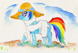 Size: 800x547 | Tagged: safe, artist:metalponyfan, derpibooru import, rainbow dash, pegasus, pony, bandage, bandaged wing, clothes, hat, scarf, solo, sunglasses, traditional art, watercolor painting, wings