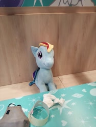 Size: 1200x1600 | Tagged: safe, derpibooru import, rainbow dash, rarity, pegasus, pony, unicorn, my little pony: pony life, cafe, kumoya, plushie, singapore