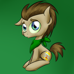 Size: 1024x1024 | Tagged: safe, artist:katiegreenfoxkater, derpibooru import, doctor whooves, oc, oc:tantamount, pony, disguise, disguised changeling, green background, simple background, solo