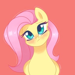 Size: 1920x1920 | Tagged: safe, artist:chickenbrony, derpibooru import, fluttershy, pegasus, pony, big eyes, blushing, cute, head tilt, looking at you, shyabetes, simple background, solo, worried