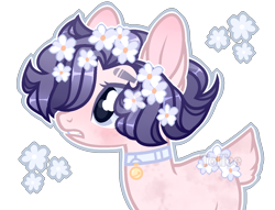 Size: 1408x1078 | Tagged: safe, artist:toffeelavender, derpibooru import, oc, oc only, earth pony, pony, base used, bust, collar, earth pony oc, eyelashes, female, flower, flower in hair, mare, simple background, solo, transparent background