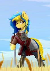 Size: 720x1020 | Tagged: safe, derpibooru import, oc, oc only, oc:ukraine, earth pony, pony, armor, nation ponies, solo, sword, ukraine, weapon