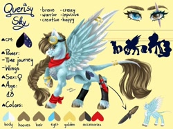 Size: 720x539 | Tagged: safe, artist:querisyart, derpibooru import, oc, oc:querisy, pegasus, braid, female, goggles, reference sheet