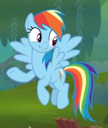 Size: 960x1132 | Tagged: safe, derpibooru import, screencap, rainbow dash, pegasus, pony, the end in friend, cropped, female, flying, mare, solo