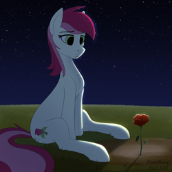 Size: 2600x2600 | Tagged: safe, artist:dash wang, derpibooru import, roseluck, earth pony, female, flower, grass, grass field, moonlight, night, rose