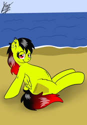 Size: 1640x2360 | Tagged: safe, artist:jay_wackal, derpibooru import, oc, oc:marmalade, pegasus, pony, beach, chubby