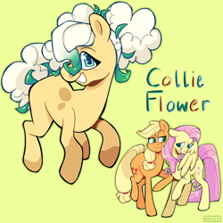 Size: 2048x2048 | Tagged: safe, artist:3ggmilky, derpibooru import, applejack, fluttershy, oc, oc:collie flower, earth pony, pony, appleshy, earth pony oc, female, lesbian, magical lesbian spawn, next generation, offspring, parent:applejack, parent:fluttershy, parents:appleshy, shipping, simple background