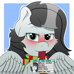 Size: 2000x2000 | Tagged: safe, artist:h3nger, derpibooru import, oc, oc:sky scamper, pegasus, pony, blushing, horny on main, license, male, solo