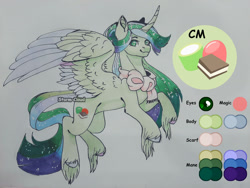 Size: 1280x960 | Tagged: safe, artist:stormcloud-yt, derpibooru import, oc, oc only, alicorn, pony, alicorn oc, colored wings, horn, reference sheet, simple background, solo, traditional art, two toned wings, unshorn fetlocks, wings