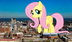 Size: 1920x1127 | Tagged: safe, artist:kysss90, artist:thegiantponyfan, derpibooru import, fluttershy, pegasus, pony, female, giant pegasus, giant pony, giantess, giantshy, highrise ponies, indiana, indianapolis, irl, looking at you, macro, mare, mega giant, photo, ponies in real life, raised hoof, raised leg, smiling, story included