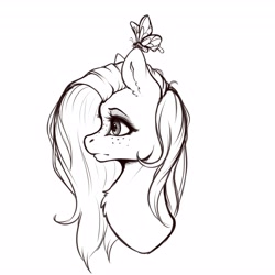 Size: 4096x4096 | Tagged: safe, artist:miokomata, derpibooru import, fluttershy, butterfly, pegasus, pony, absurd resolution, black and white, bust, chest fluff, ear fluff, ears, female, freckles, freckleshy, grayscale, lineart, mare, monochrome, profile, simple background, solo, white background, wip