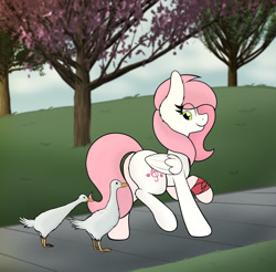 Size: 2282x2250 | Tagged: safe, artist:aaathebap, derpibooru import, oc, oc:sugar morning, bird, duck, pegasus, park, solo, walking