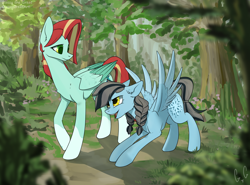 Size: 2600x1920 | Tagged: safe, artist:glassygreatart, derpibooru import, oc, oc:crochetquill, pegasus, pony, duo, folded wings, forest, smiling, spread wings, talking, wings