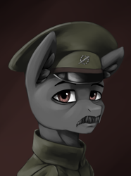 Size: 3120x4200 | Tagged: safe, artist:闪电_lightning, derpibooru import, oc, pony, equestria at war mod, bust, portrait