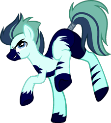 Size: 796x880 | Tagged: safe, artist:stormcloud-yt, derpibooru import, oc, oc only, zebra, collaboration, base used, male, simple background, smiling, smirk, stallion, tail, tail wrap, transparent background, zebra oc