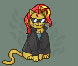 Size: 641x541 | Tagged: safe, artist:circumflexs, derpibooru import, sunset shimmer, cat, catified, clothes, female, jacket, leather jacket, nyanset shimmer, solo, species swap, sunglasses
