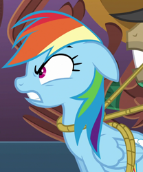 Size: 900x1080 | Tagged: safe, derpibooru import, screencap, rainbow dash, pegasus, pony, season 6, stranger than fan fiction, angry, bondage, cropped, female, gritted teeth, mare, rainbond dash, rope, rope bondage, tied up