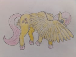 Size: 2560x1920 | Tagged: safe, derpibooru import, fluttershy, pegasus, cute, shy, shyabetes, solo, wings