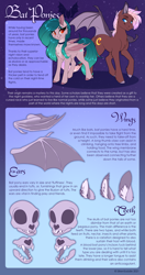 Size: 2674x5080 | Tagged: safe, artist:silkensaddle, derpibooru import, bat pony, pony, reference sheet, skull