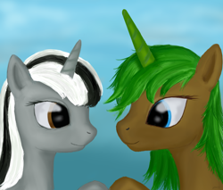 Size: 1000x850 | Tagged: safe, artist:mindlesshead, derpibooru import, oc, oc only, pony, unicorn