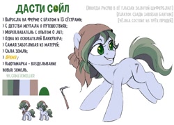 Size: 1380x993 | Tagged: safe, artist:jewellier, derpibooru import, oc, oc only, oc:dusty soil, earth pony, pony, cyrillic, reference sheet, russian, translated in the comments