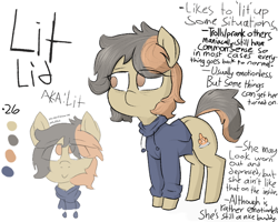 Size: 750x600 | Tagged: safe, artist:cherro, derpibooru import, oc, oc only, oc:lit lid, earth pony, pony, clothes, female, hoodie, mare, reference sheet, solo, text