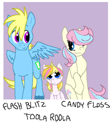 Size: 481x531 | Tagged: safe, artist:ive-moved-bitches, derpibooru import, toola roola, oc, oc:candy floss, oc:flash blitz, earth pony, pegasus, g1, earth pony oc, family photo, female, filly, foal, g1 to g4, generation leap, hair over one eye, looking at each other, looking at someone, male, mare