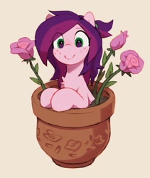 Size: 1603x1897 | Tagged: safe, artist:orchidpony, derpibooru import, oc, oc only, oc:rose shelf, earth pony, pony, flower, flower pot, freckles, looking at you, plant pot, rose, simple background, smiling, solo