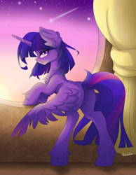 Size: 1280x1646 | Tagged: safe, artist:natanvok, derpibooru import, twilight sparkle, twilight sparkle (alicorn), alicorn, pony, butt, dock, plot, solo, tail, twibutt