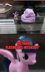 Size: 500x797 | Tagged: safe, derpibooru import, twilight sparkle, twilight sparkle (alicorn), alicorn, gak, irl photo, meme, pun, vietnam flashback