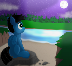 Size: 7200x6600 | Tagged: safe, artist:agkandphotomaker2000, derpibooru import, oc, oc only, oc:pony video maker, pegasus, pony, admiring, cloud, folded wings, forest, lake, looking at the scenery, moon, moonlight, night, rock, sand, sitting, stars, tree, water, wings