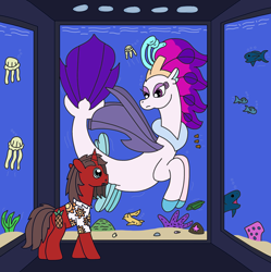 Size: 2408x2422 | Tagged: safe, artist:supahdonarudo, derpibooru import, queen novo, oc, oc:ironyoshi, eel, fish, jellyfish, seapony (g4), shark, unicorn, my little pony: the movie, aquarium, coral, looking at each other, looking at someone, redraw, shell, starfish