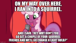 Size: 800x450 | Tagged: safe, derpibooru import, edit, cheerilee, earth pony, exploitable, exploitable meme, female, mare, meme, microphone, non sequitur, open mouth, spongebob squarepants, spotlight, squirrel jokes, stand-up comedy, wat