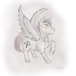 Size: 2048x2048 | Tagged: safe, artist:antares, derpibooru import, oc, oc:sombreta, pegasus, male, pegasus oc, stallion