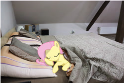 Size: 6000x4000 | Tagged: safe, artist:thesovietboi1945, derpibooru import, fluttershy, pegasus, pony, stare master, bed, cute, female, irl, irl photo, photo, ponies in real life, shyabetes, sleeping, solo