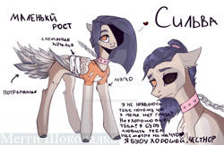 Size: 1280x829 | Tagged: safe, artist:meggychocolatka, derpibooru import, oc, oc only, pegasus, pony, bandage, bust, chains, clothes, collar, cyrillic, deviantart watermark, duo, female, heterochromia, mare, obtrusive watermark, pegasus oc, reference sheet, russian, simple background, watermark, white background, wings